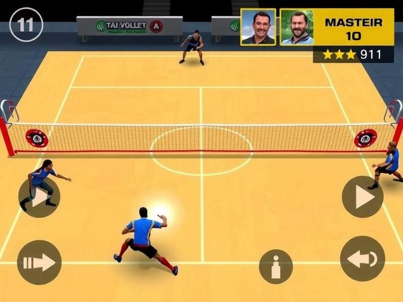 Taj Volley Dominators in Action Taj Volley Dominators Gameplay Screenshot